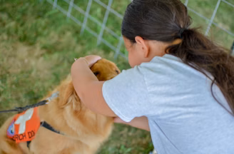 a person holds a dog